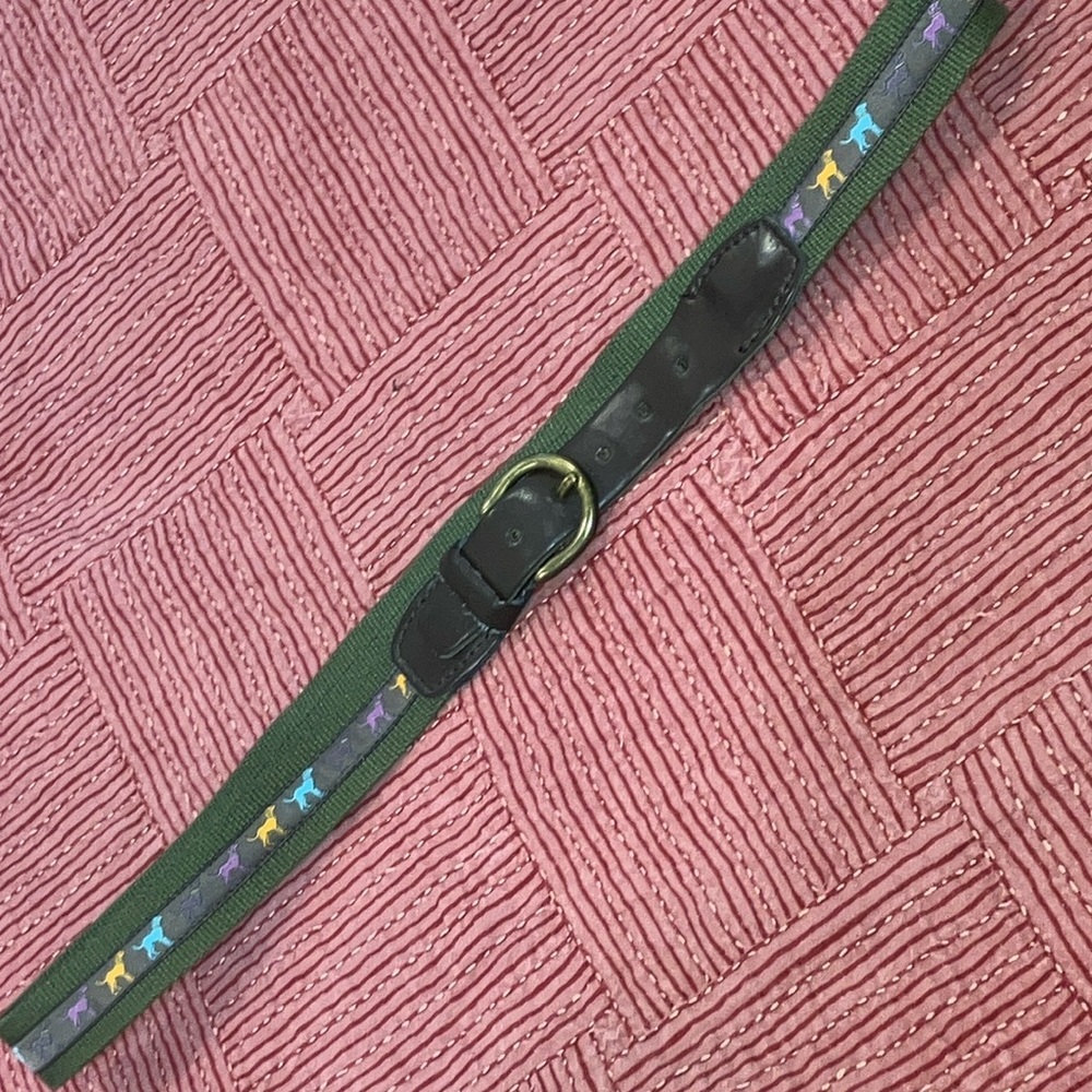 Joules Green Belt with Colorful Dog Patterns “safari belt”